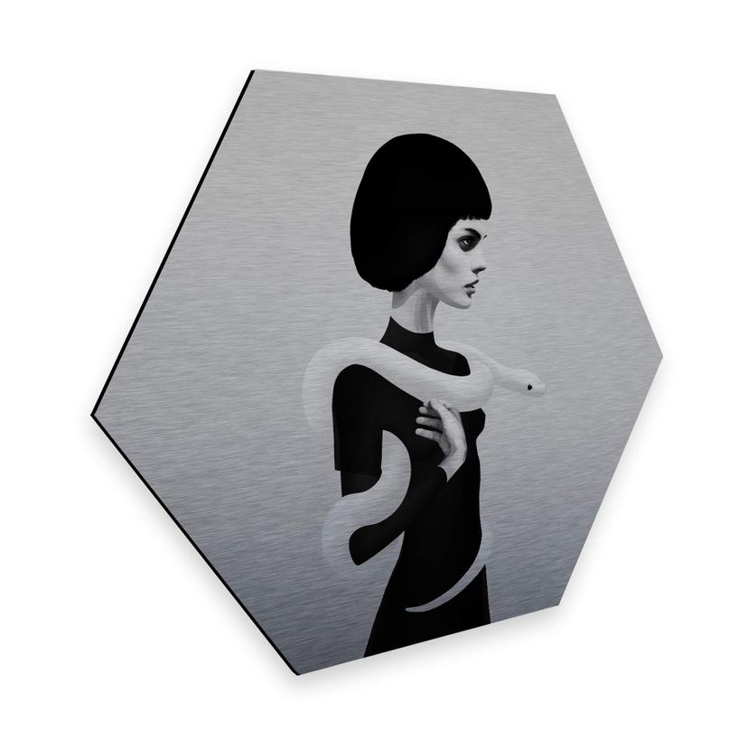 Hexagon Alu-Dibond Zilvereffect - Ireland - Only Skin