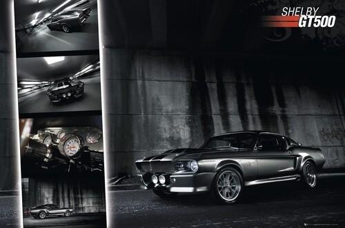 Poster Easton - Shelby GT500 91,5x61 cm