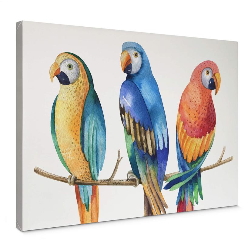 Lienzo Kvilis - Loros de colores