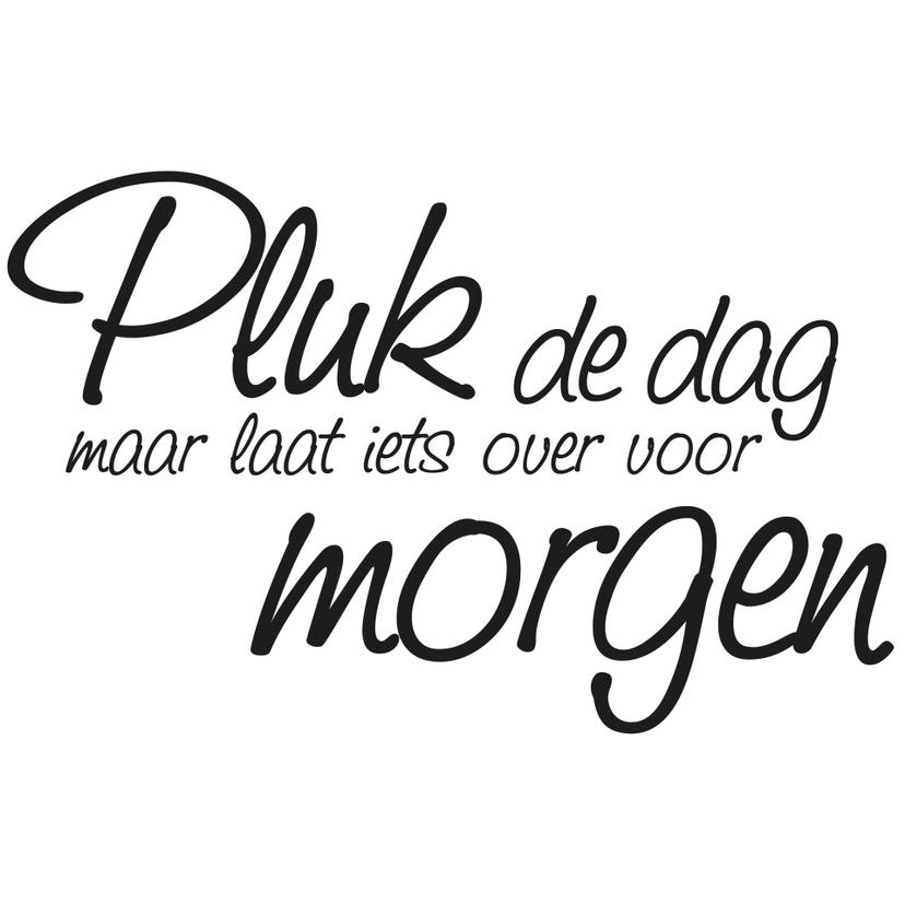 Wandtattoo Pluk de dag...