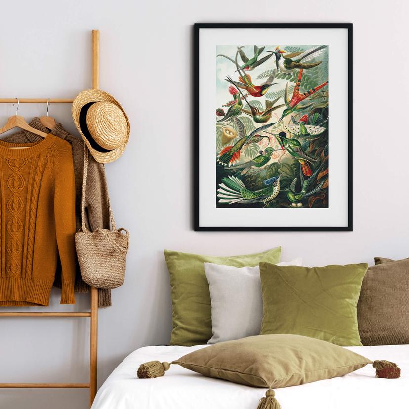Poster Haeckel - Kolibries