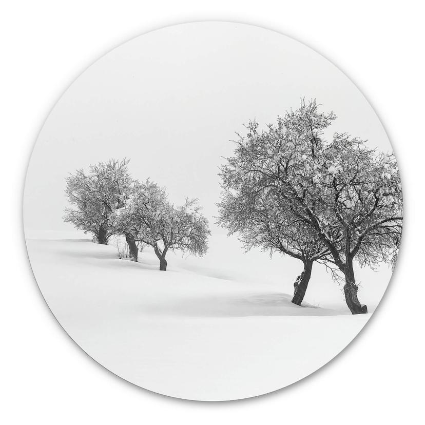 Wandcirkel Carrillo Lopez - White World
