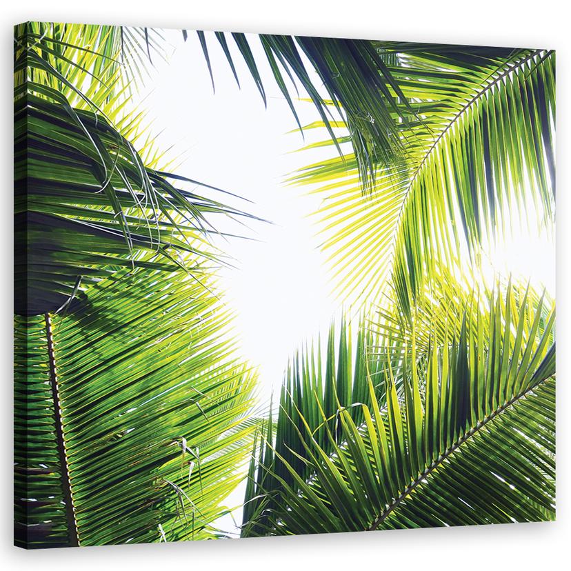 Canvasbillede, palme blade planter