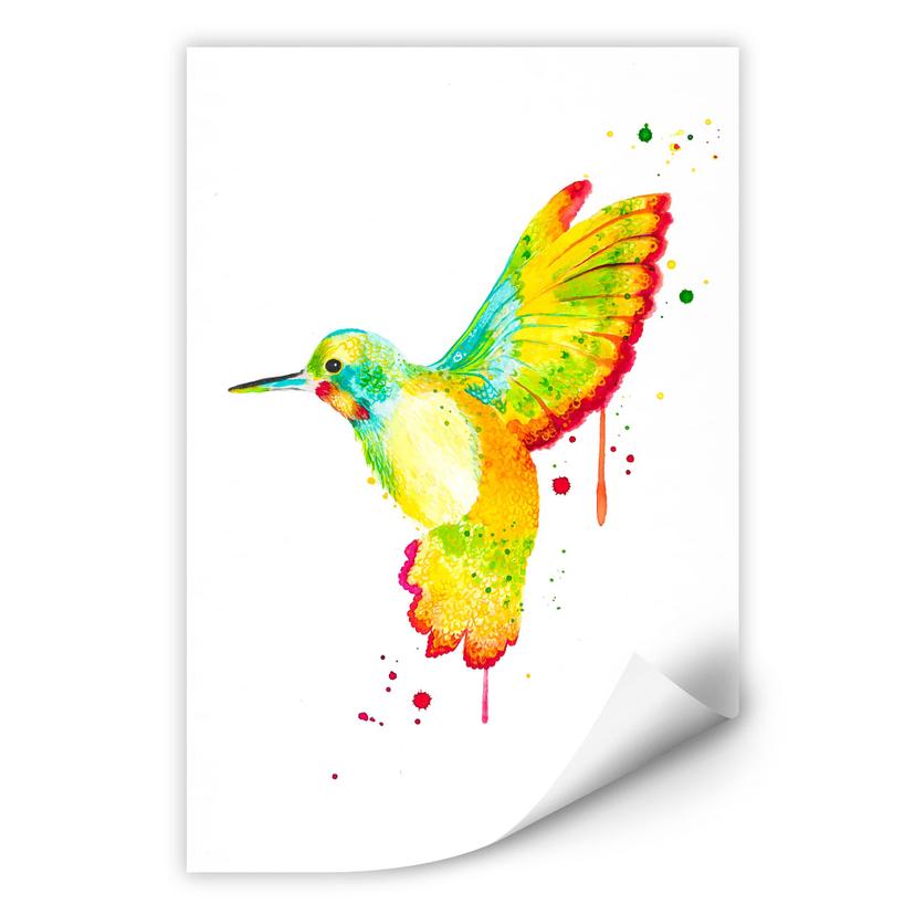 Zelfklevende Poster - Buttafly - Kolibrie
