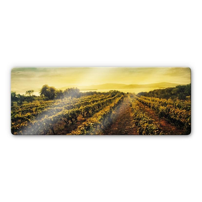 Tableau en verre - Coucher de soleil sur les vignes - Panorama