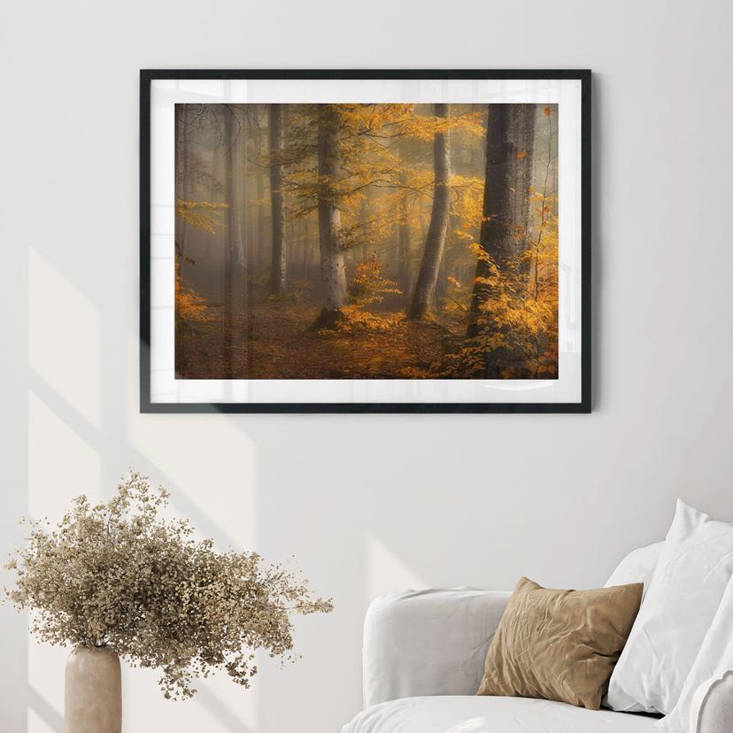 Poster Gyllene löv i en dimmig skog - Maier