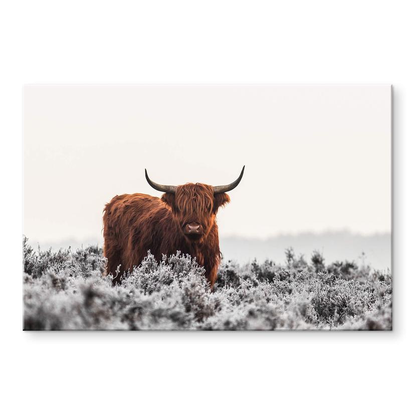 Tableau sur verre acrylique van den Helm - Highlander