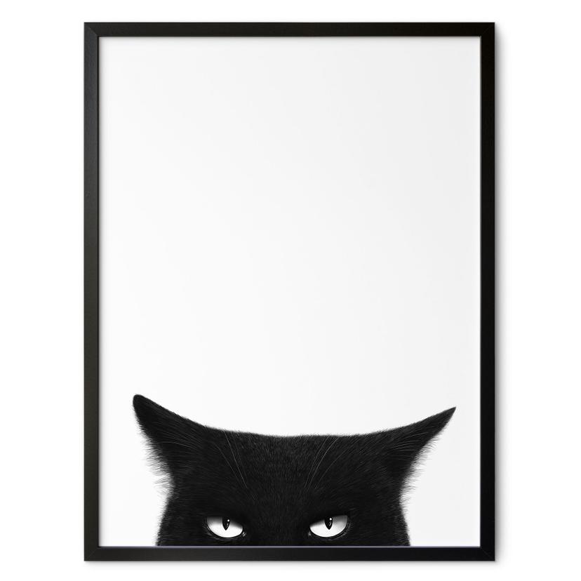 Poster Regard d'une chatte noire - Korenkova