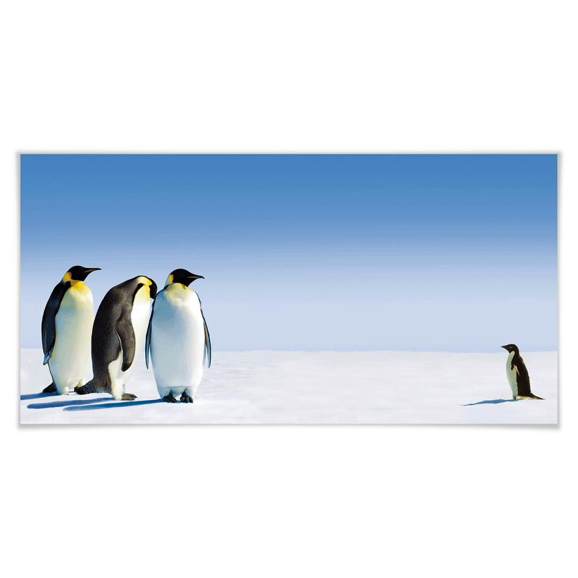 Poster - Penguin