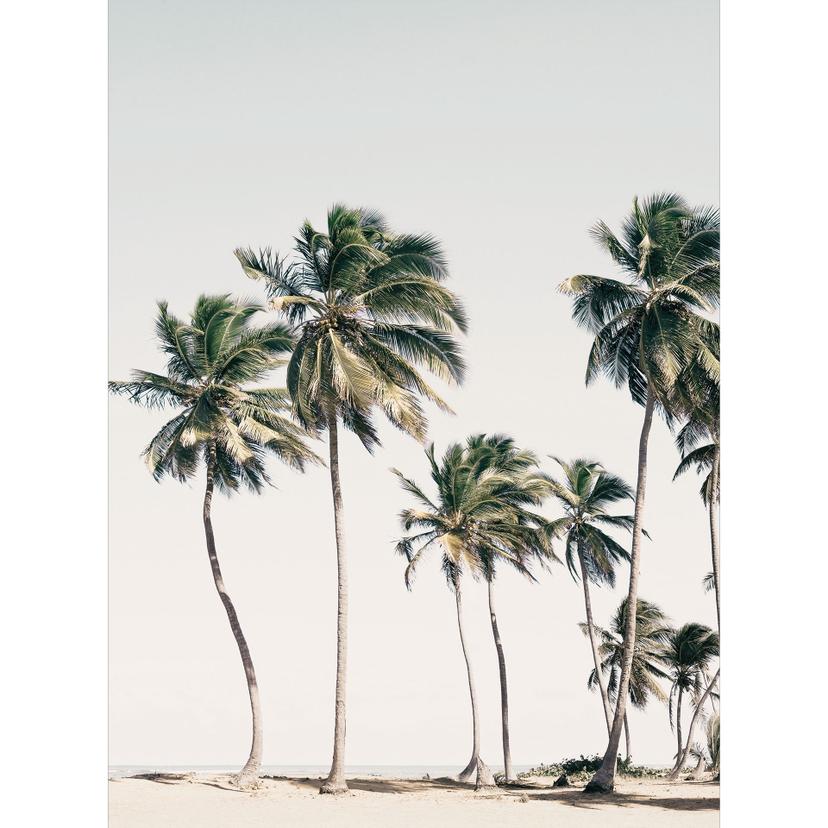 Fotomurale sulla spiaggia - palme tropicali sulla spiaggia - Sisi & Seb