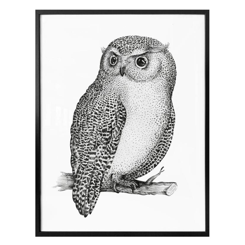 Poster Kvilis - Hibou vigilent