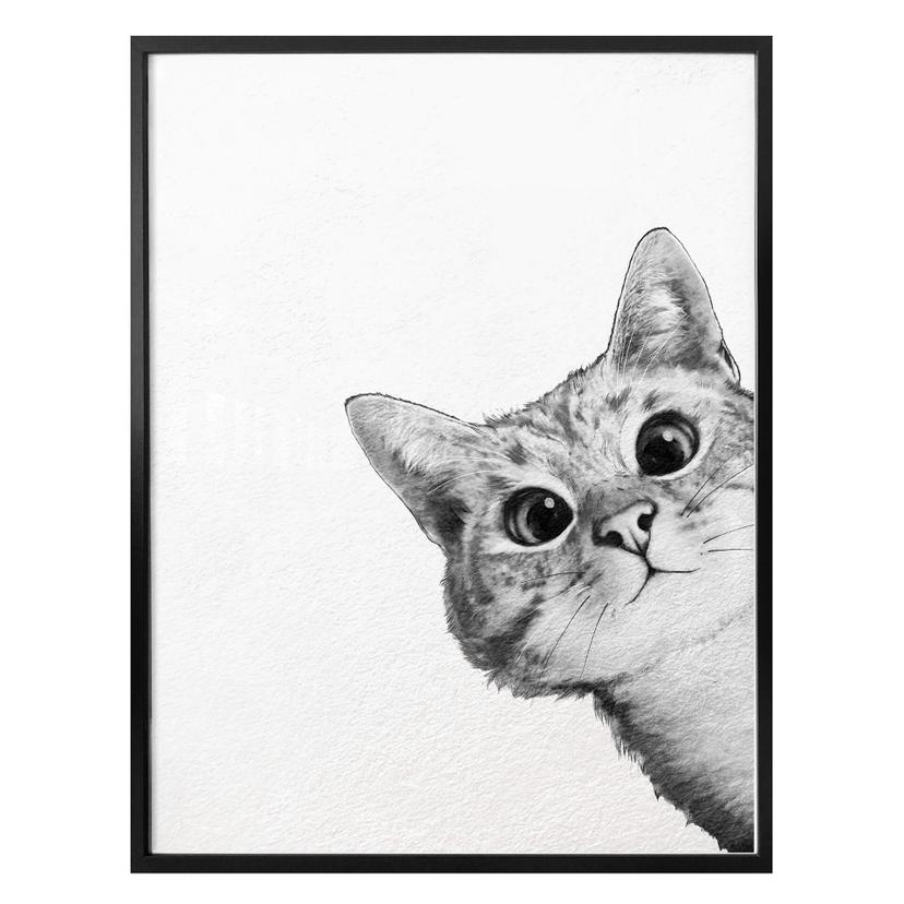 Póster Graves - Gato furtivo