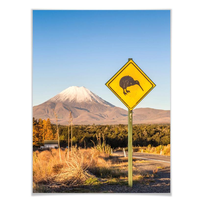 Poster Colombo - Panneau de signalisation : attention kiwi