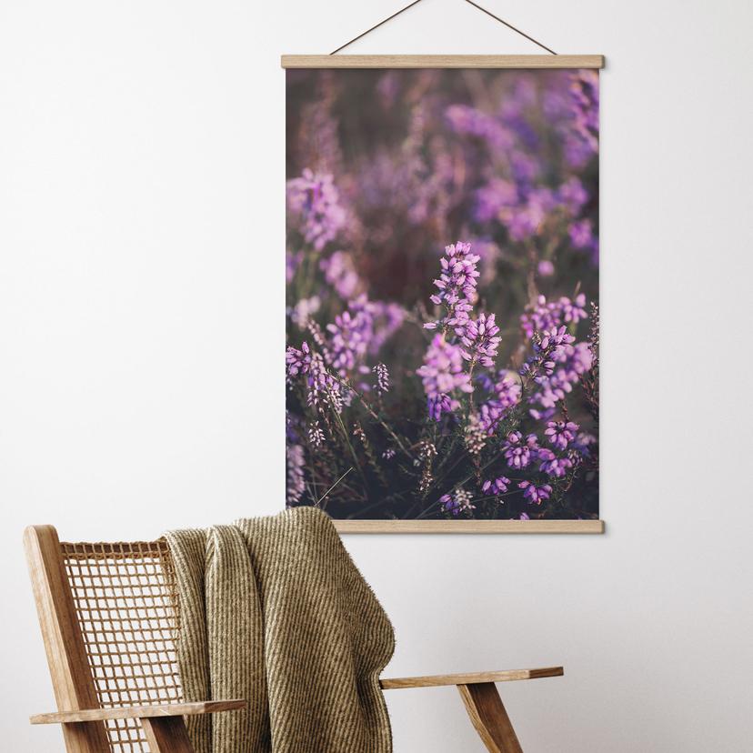 Stoffbild Lila Heideblüte im warmen Licht - Annie