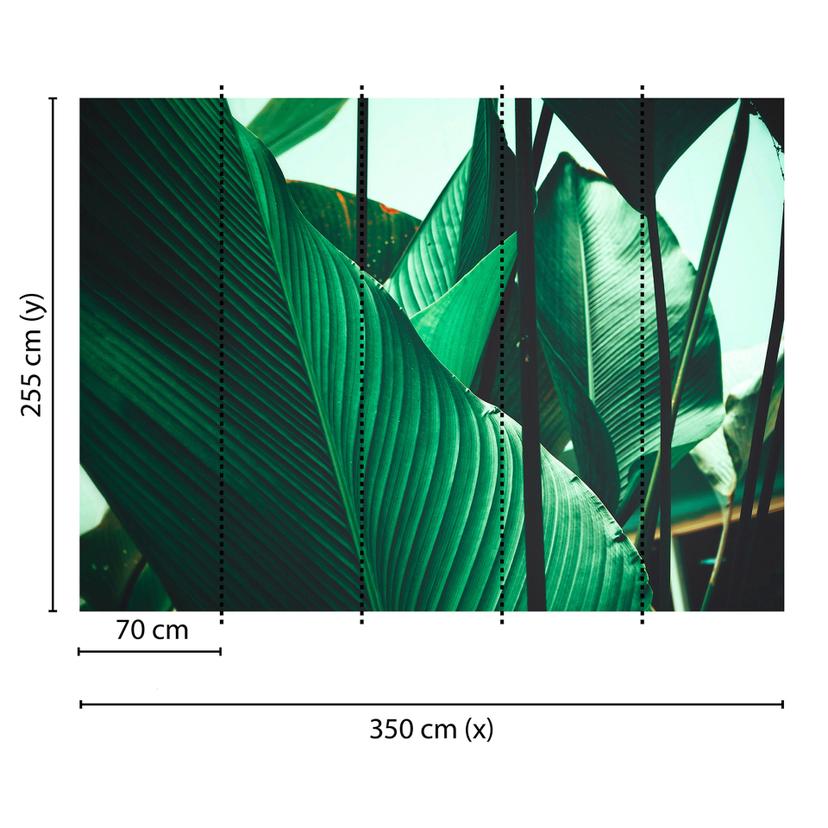 Livingwalls Fotomurale Designwalls -  Leaf Stalks Natur