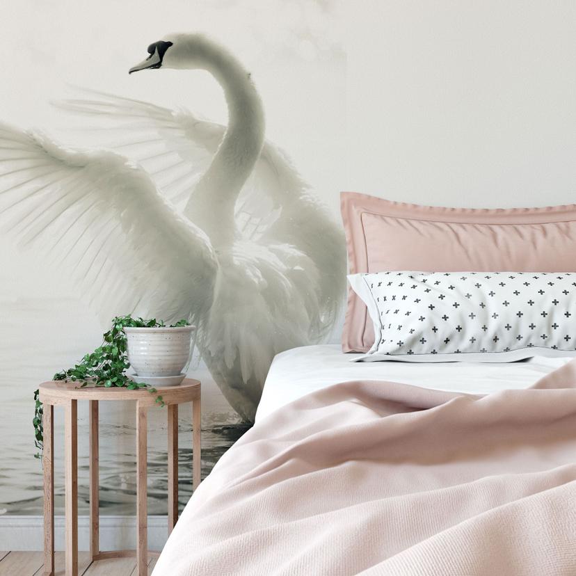 Fototapet - Elegant Svane
