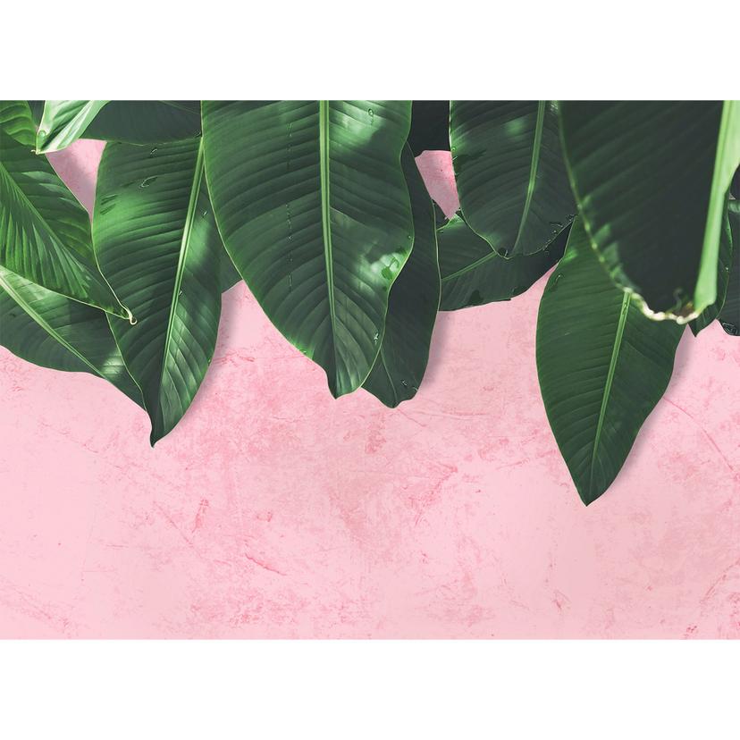 Livingwalls Fotomurale Designwalls -  Foglie