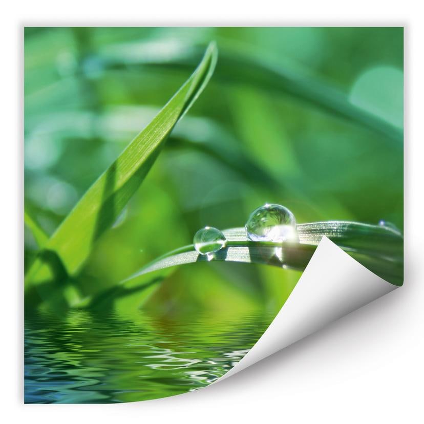Poster autocollant - W - Nature 6