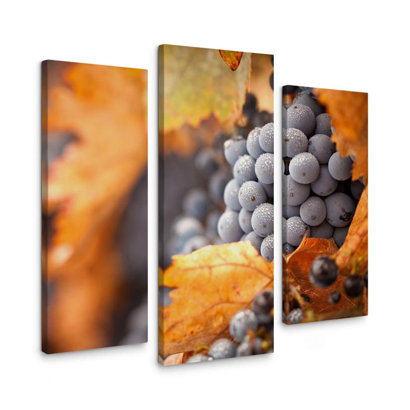 Stampa su tela - Vino in autunno (tre parti)