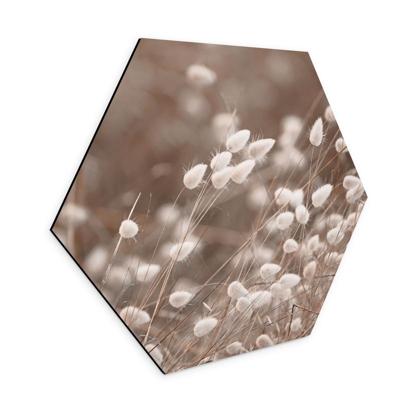 Hexagon Wandbild Zarte Gräser im Herbstlicht - Collins - Alu-Dibond