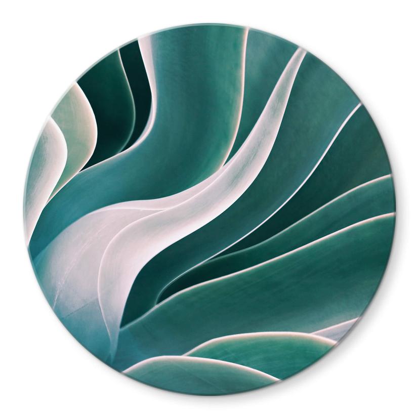 Tableau sur verre rond Wechsler - Agave à la lumière du matin