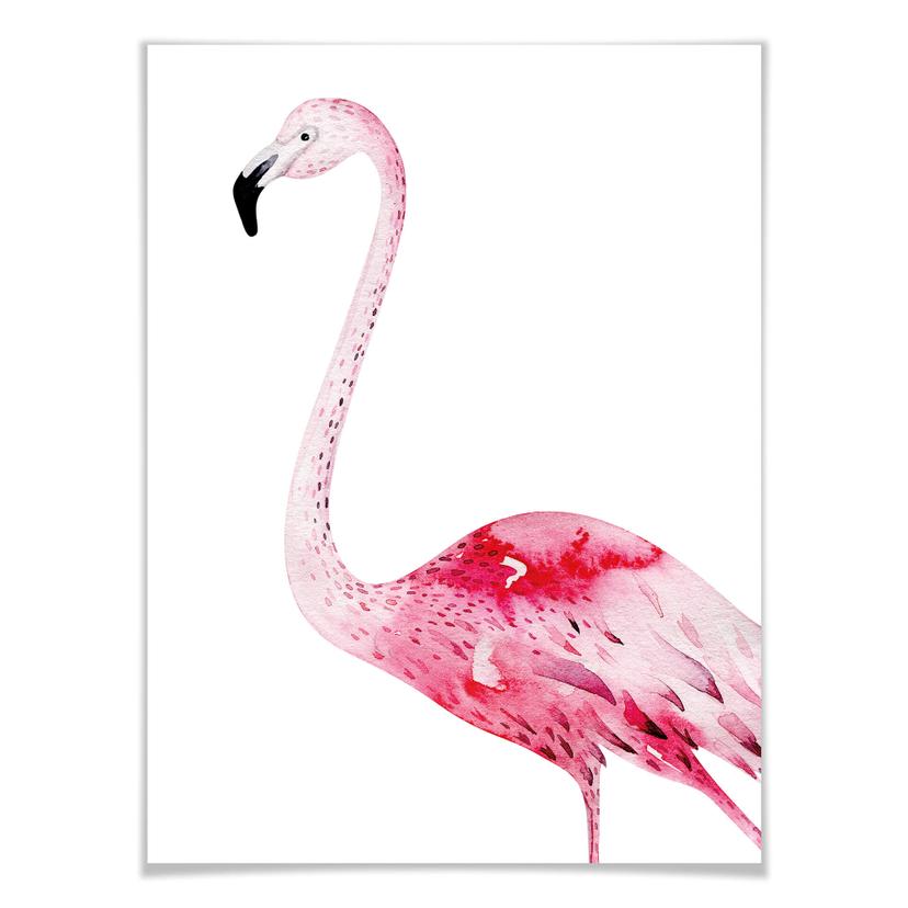 Affiche Kvilis - Flamant rose 02
