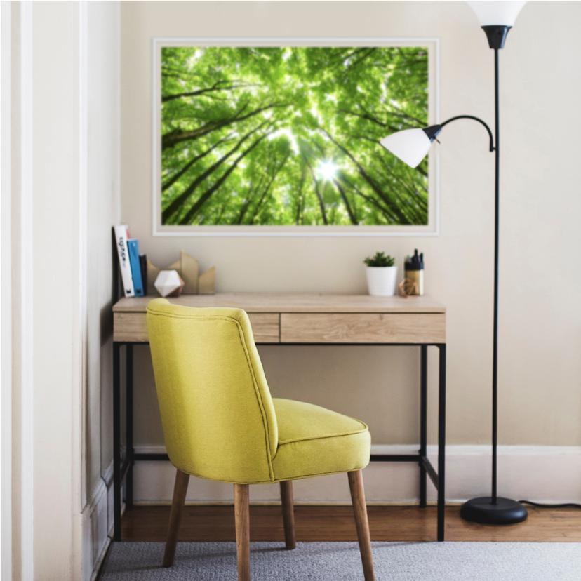 Wallprint - Alberi