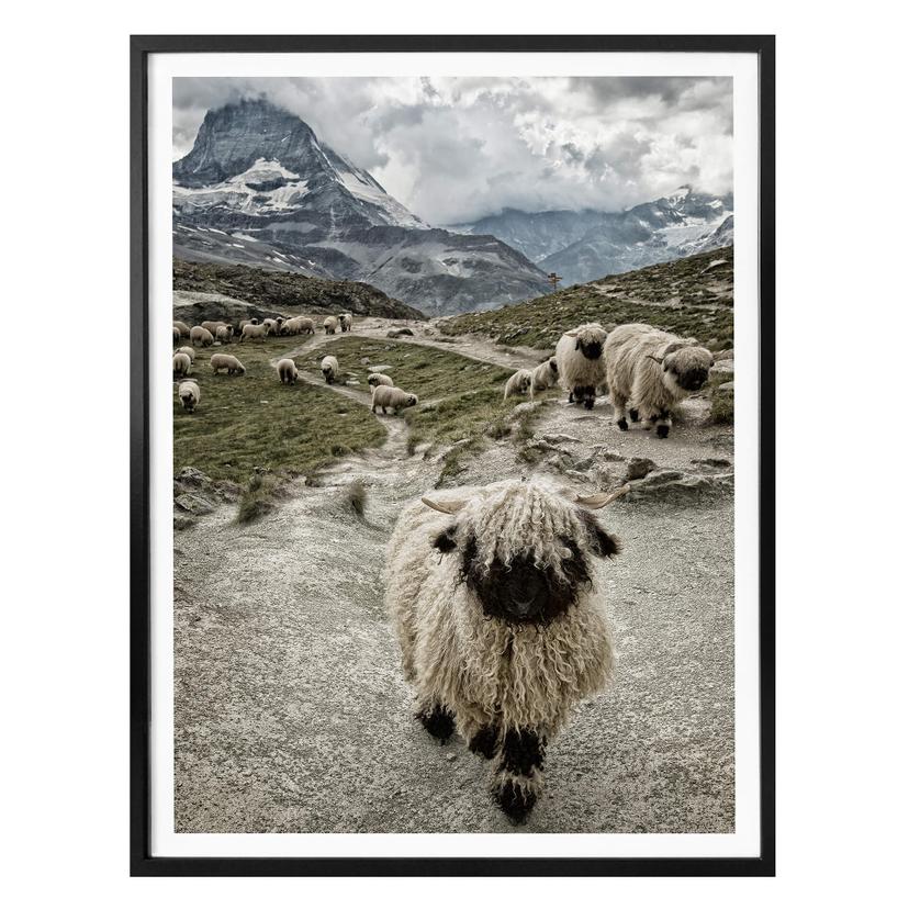 Poster Landolt - Excursion en montagne