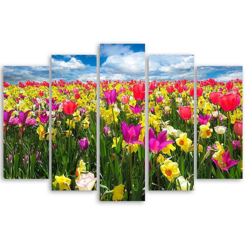 Stampa su tela 5 pezzi Fiori di tulipani colorati
