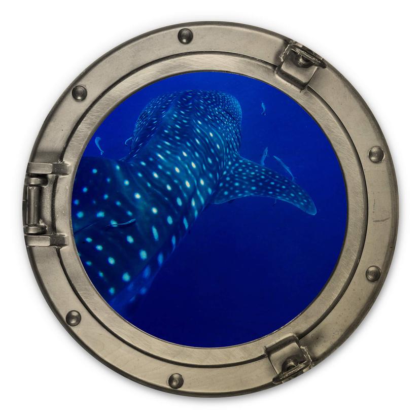 Cuadro de madera 3D-ojo de buey - El tiburón ballena - Redondo
