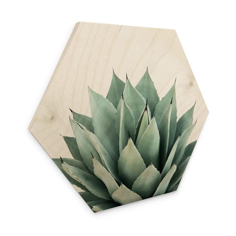 Hexagon Hout Sisi & Seb - Succulents