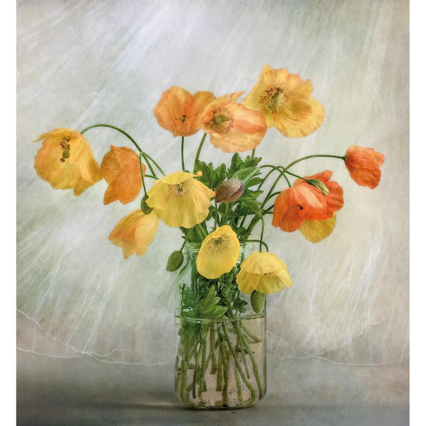 Fotomurale – Disher – Vaso di papaveri