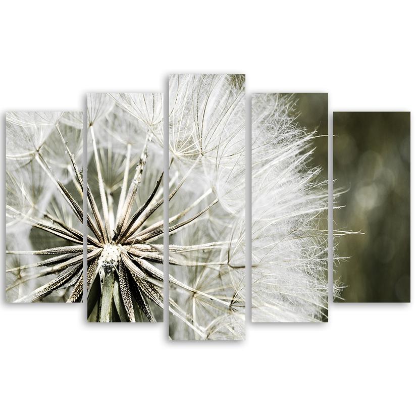 Stampa su tela 5 pezzi, fiori bianchi soffianti