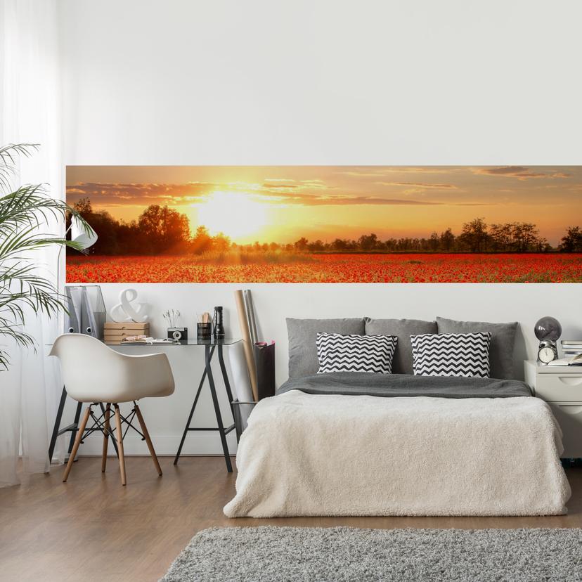 Papier peint photo Champ de coquelicot sous le coucher du soleil - Panorama - 48x260 cm