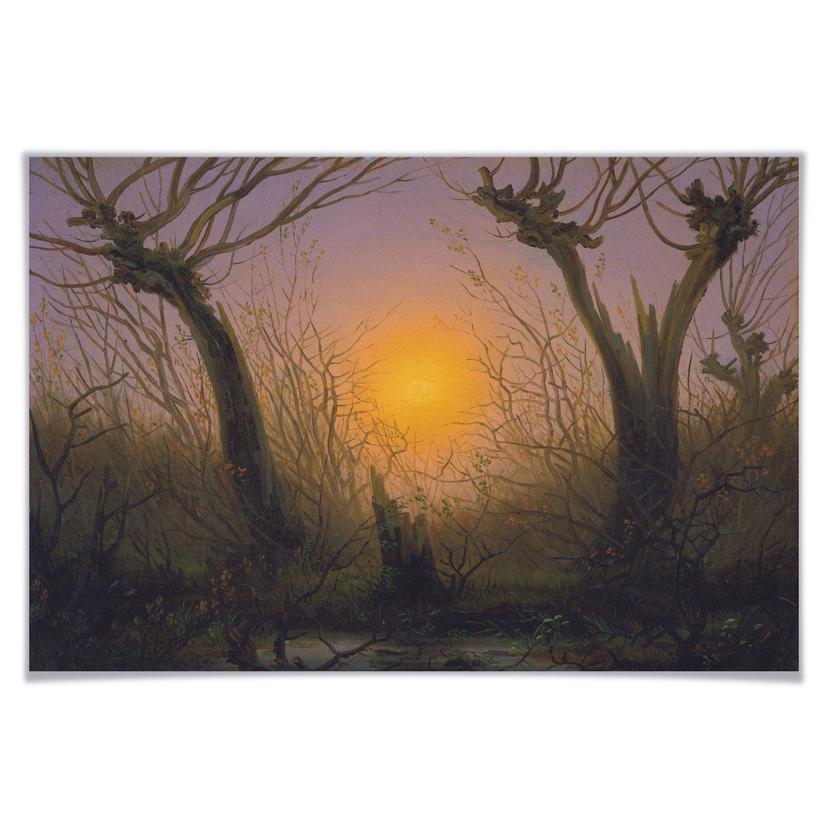 Poster Friedrich - Waldlandschaft bei tiefstehender Sonne