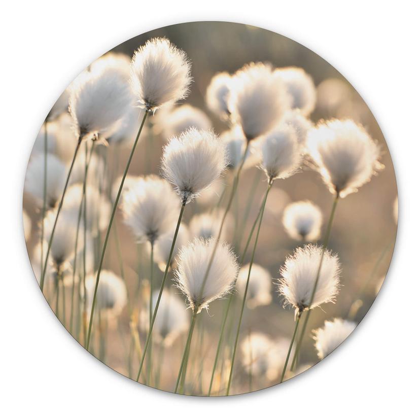 Tableau sur alu-Dibond Delgado - Magie des prés - Rond