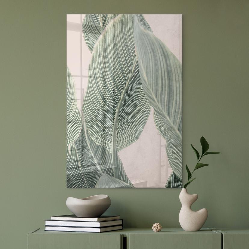 Stampa su vetro acrilico di una pianta di Calathea - Sisi & Seb