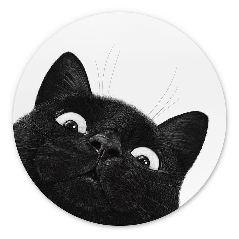 Tableaux Rond Chat noir amusant - Korenkova - Alu-Dibond