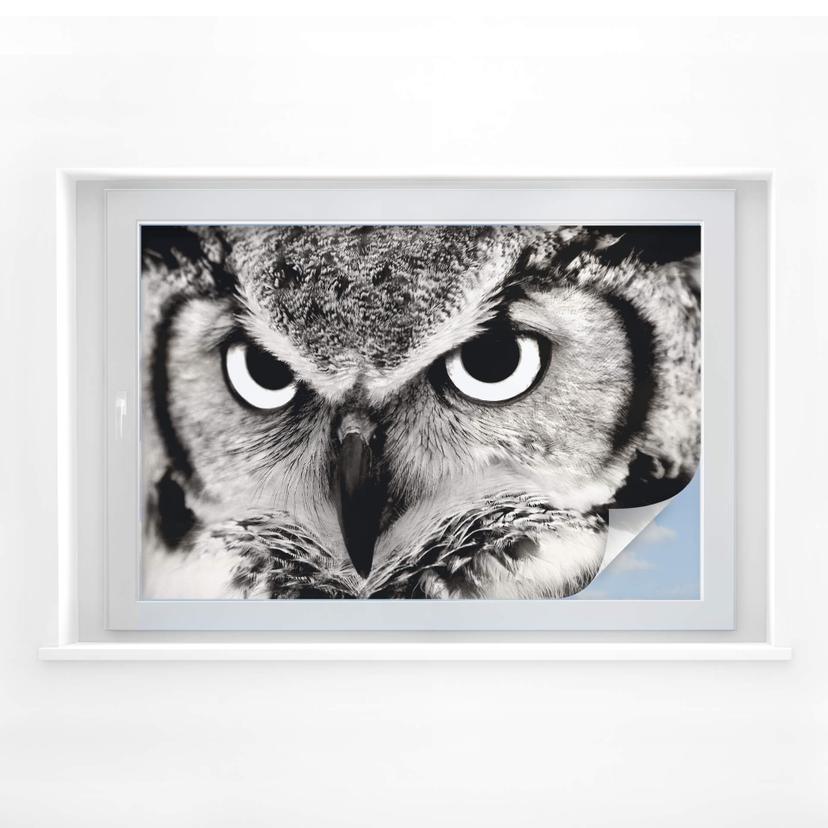 Película de privacidad proud owl
