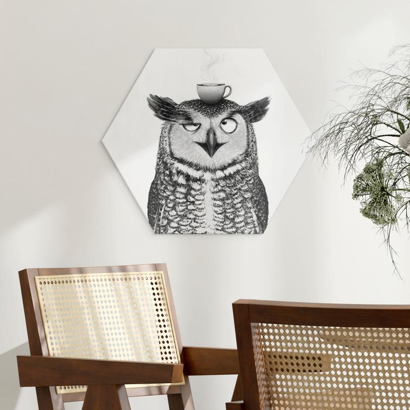 Hexagon Wanddecoratie Grappige Uil met Koffie - Korenkova - Alu-Dibond