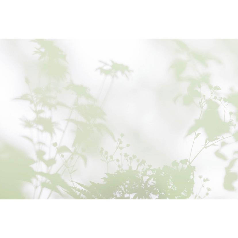 Livingwalls fotomurale Walls by Patel 3 Ombre