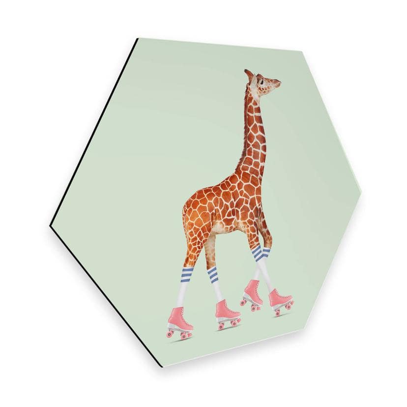 Hexagone - Alu Dibond Loose - Girafe faisant du patin à roulettes