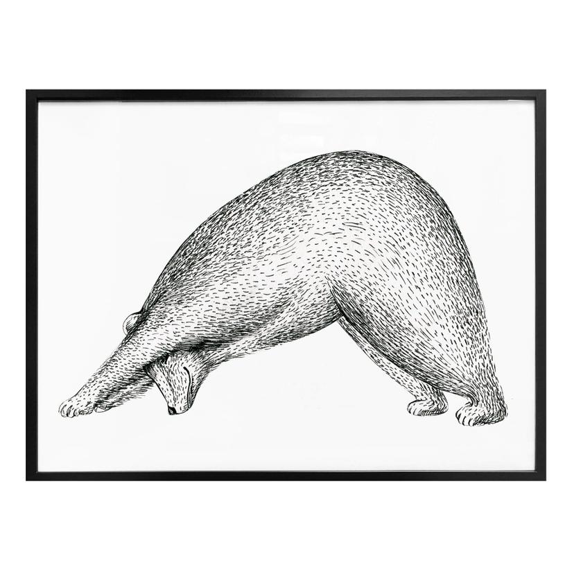 Póster Kvilis - Oso Yoga 01