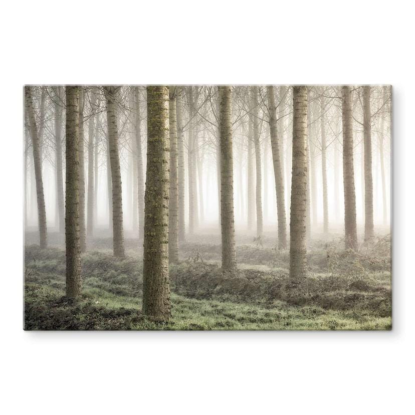 Tableau sur verre Carozzi - Forêt de conte de fées dans la brume matinale