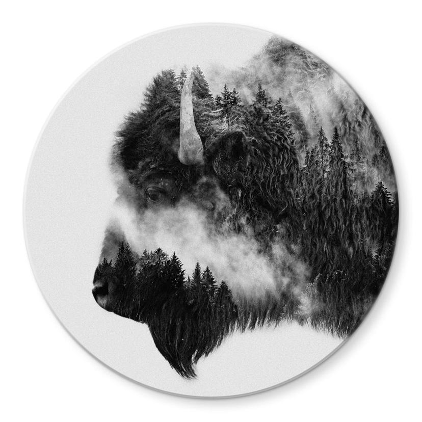 Tableau sur verre Angyalosi - Bison - Rond