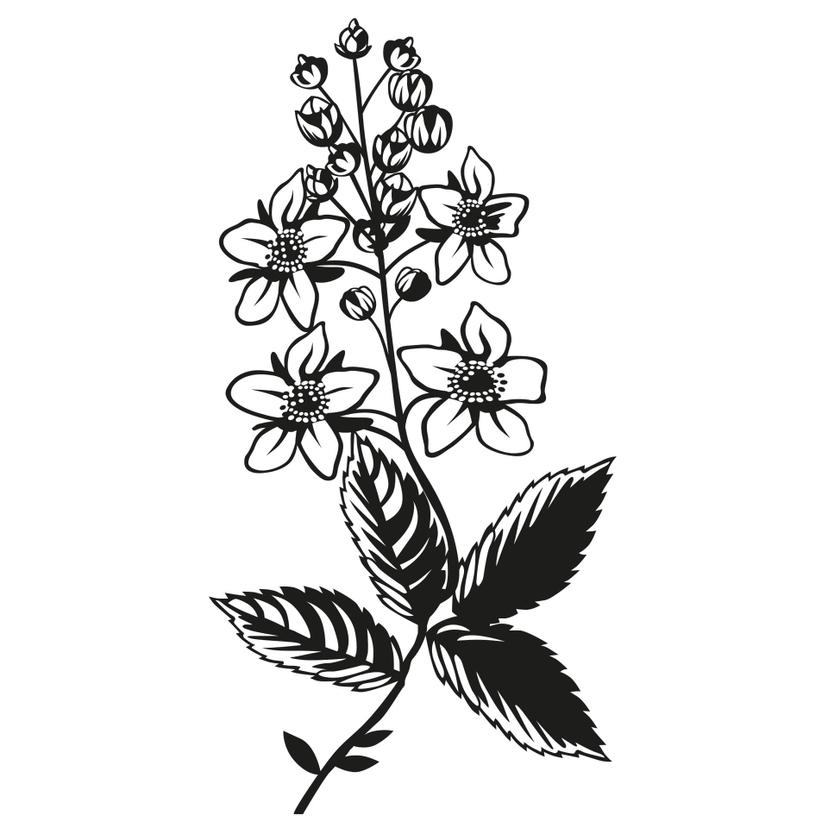 Sticker mural - Branche fleurie 1