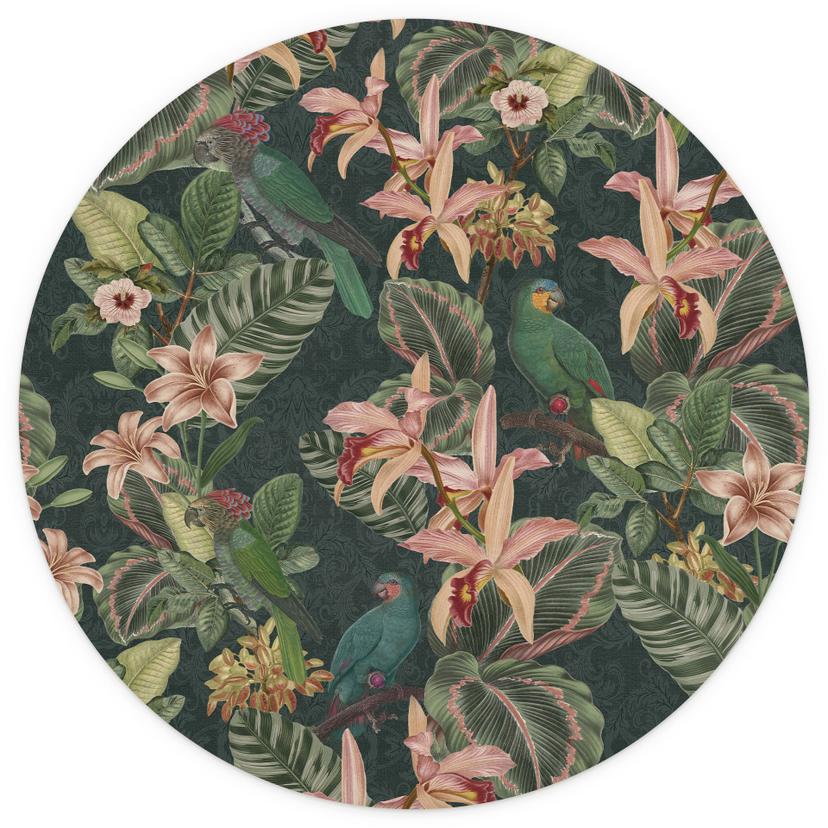 Giungla con pappagalli - Decorazione floreale - Rotondo - Autoadesivo/non tessuto
