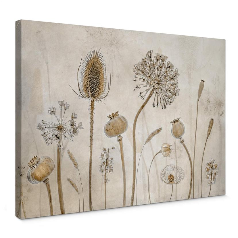 Lienzo Disher - Flores secas