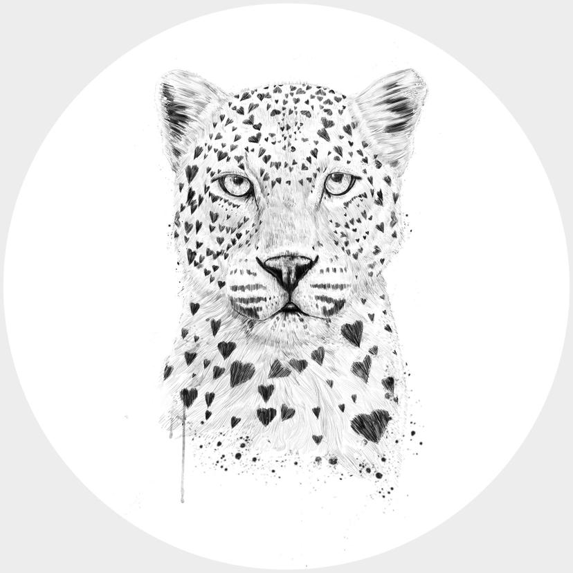 Fotomurale Solti - Leopardo - tondo - carta da parati in tessuto non tessuto/carta da parati in tess