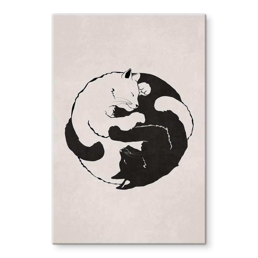 Akrylbillede Katte Ying & Yang - Tunaboylu